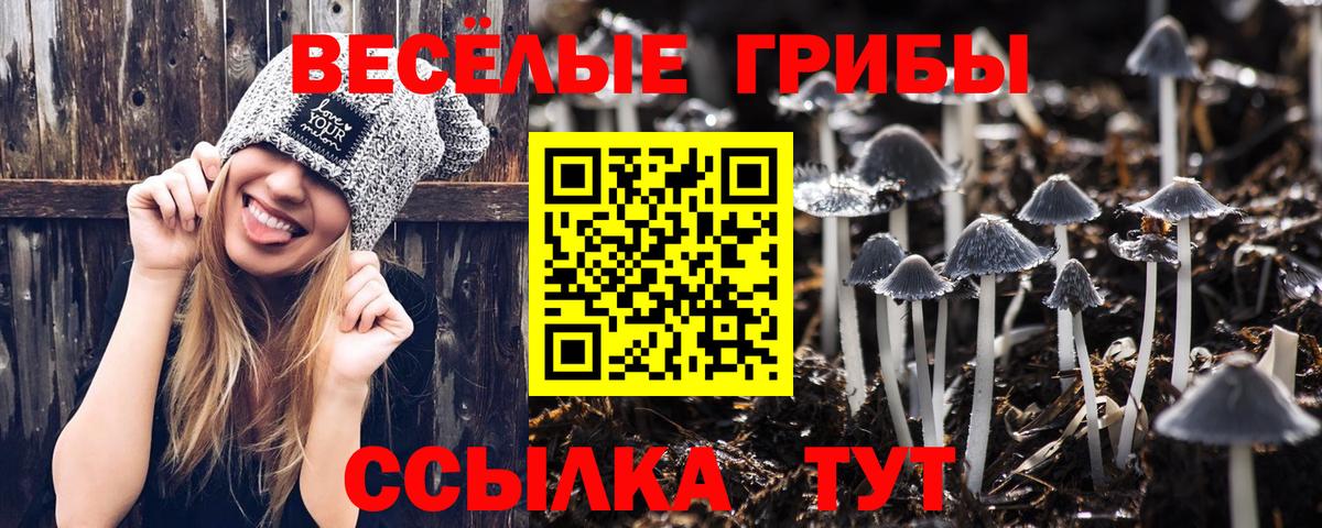Кострома  Псилоцибиновые грибы мицелий  Вход с VPN  Галлюциногенные грибы мицелий 